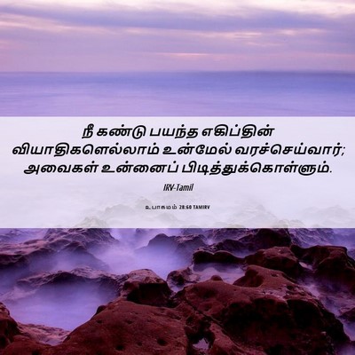 Picture 06 - உபாகமம் 28:60 TAMIRV - நீ கண்டு பயந்த - Bible Verse Picture
