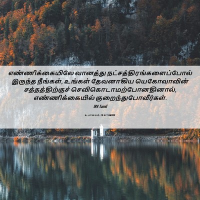 Picture 06 - உபாகமம் 28:62 TAMIRV - எண்ணிக்கையிலே - Bible Verse Picture