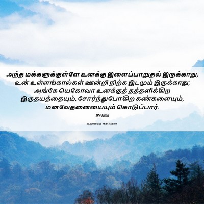 Picture 06 - உபாகமம் 28:65 TAMIRV - அந்த - Bible Verse Picture