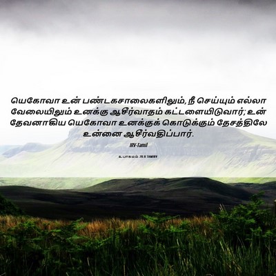 Picture 06 - உபாகமம் 28:8 TAMIRV - யெகோவா உன் - Bible Verse Picture