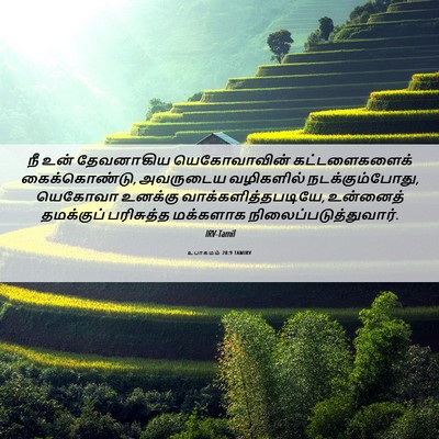 Picture 06 - உபாகமம் 28:9 TAMIRV - நீ உன் தேவனாகிய - Bible Verse Picture