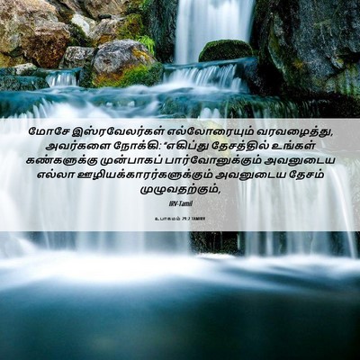 Picture 06 - உபாகமம் 29:2 TAMIRV - மோசே இஸ்ரவேலர்கள் - Bible Verse Picture
