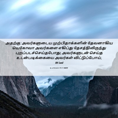 Picture 06 - உபாகமம் 29:25 TAMIRV - அதற்கு: - Bible Verse Picture