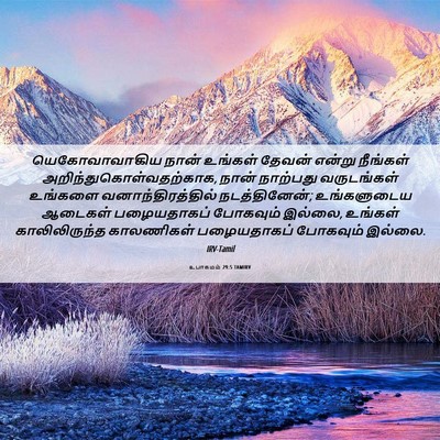 Picture 06 - உபாகமம் 29:5 TAMIRV - யெகோவாவாகிய நான் - Bible Verse Picture