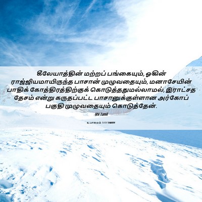 Picture 06 - உபாகமம் 3:13 TAMIRV - கீலேயாத்தின் - Bible Verse Picture