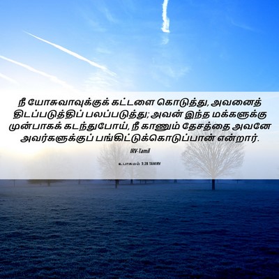 Picture 06 - உபாகமம் 3:28 TAMIRV - நீ யோசுவாவுக்குக் - Bible Verse Picture