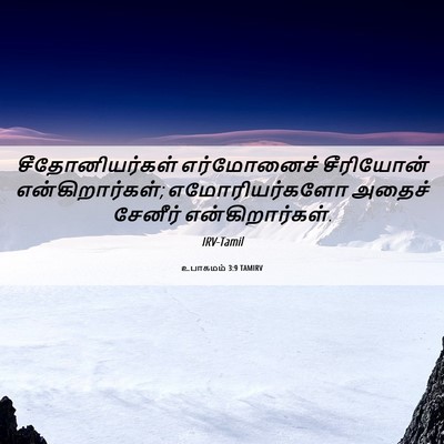 Picture 06 - உபாகமம் 3:9 TAMIRV - சீதோனியர்கள் - Bible Verse Picture