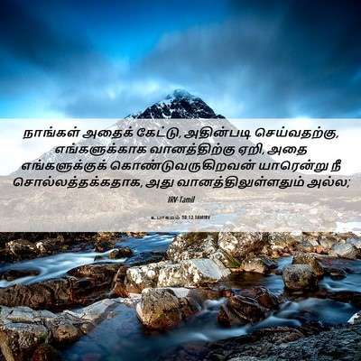 Picture 06 - உபாகமம் 30:12 TAMIRV - நாங்கள் அதைக் - Bible Verse Picture