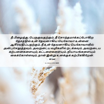 Picture 06 - உபாகமம் 30:16 TAMIRV - நீ பிழைத்து, - Bible Verse Picture