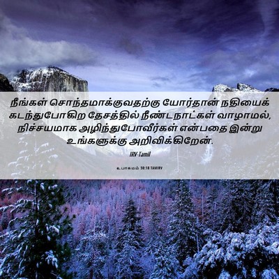 Picture 06 - உபாகமம் 30:18 TAMIRV - நீங்கள் - Bible Verse Picture