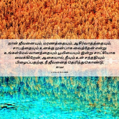 Picture 06 - உபாகமம் 30:19 TAMIRV - நான் ஜீவனையும், - Bible Verse Picture