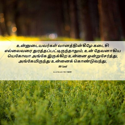 Picture 06 - உபாகமம் 30:4 TAMIRV - உன்னுடையவர்கள் - Bible Verse Picture