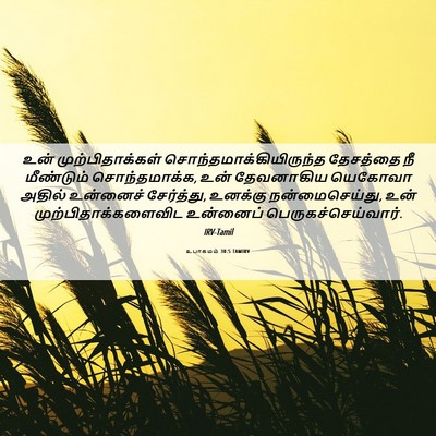 Picture 06 - உபாகமம் 30:5 TAMIRV - உன் முற்பிதாக்கள் - Bible Verse Picture