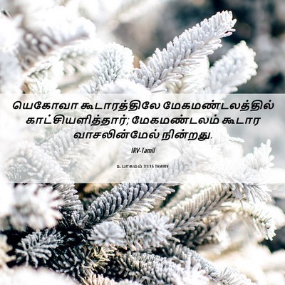 Picture 06 - உபாகமம் 31:15 TAMIRV - யெகோவா - Bible Verse Picture