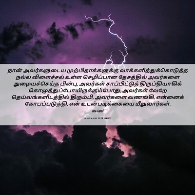 Picture 06 - உபாகமம் 31:20 TAMIRV - நான் அவர்களுடைய - Bible Verse Picture
