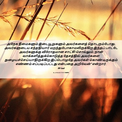 Picture 06 - உபாகமம் 31:21 TAMIRV - அநேக தீமைகளும் - Bible Verse Picture