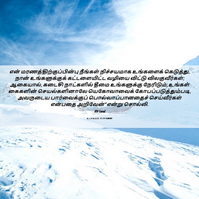 Picture 06 - உபாகமம் 31:29 TAMIRV - என் - Bible Verse Picture