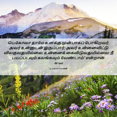 Picture 06 - உபாகமம் 31:8 TAMIRV - யெகோவா தாமே - Bible Verse Picture