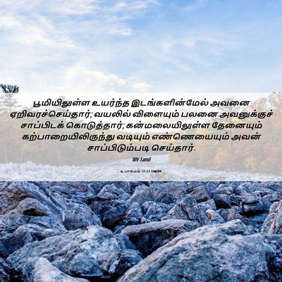 Picture 06 - உபாகமம் 32:13 TAMIRV - பூமியிலுள்ள - Bible Verse Picture