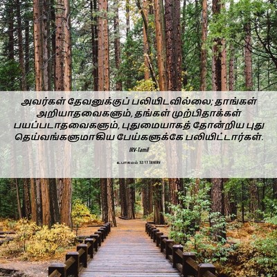 Picture 06 - உபாகமம் 32:17 TAMIRV - அவர்கள் - Bible Verse Picture