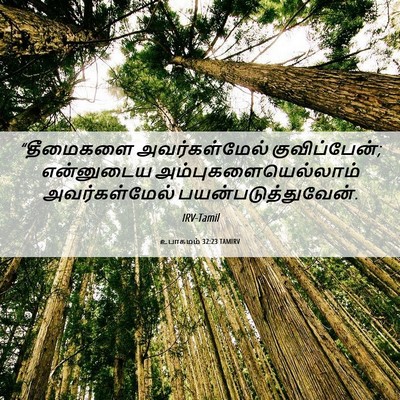 Picture 06 - உபாகமம் 32:23 TAMIRV - “தீமைகளை - Bible Verse Picture