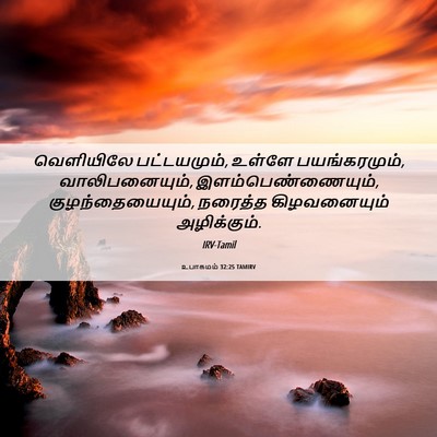 Picture 06 - உபாகமம் 32:25 TAMIRV - வெளியிலே - Bible Verse Picture