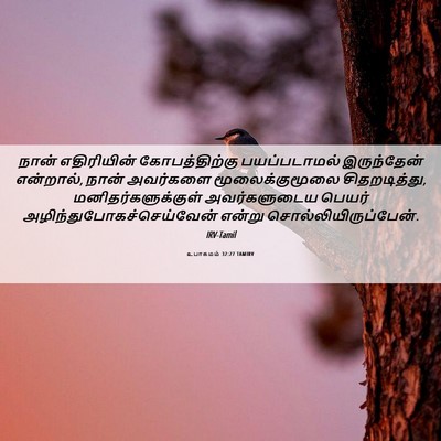 Picture 06 - உபாகமம் 32:27 TAMIRV - நான் எதிரியின் - Bible Verse Picture