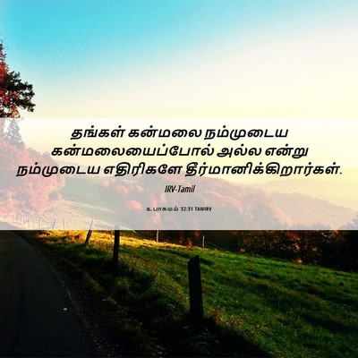 Picture 06 - உபாகமம் 32:31 TAMIRV - தங்கள் கன்மலை - Bible Verse Picture
