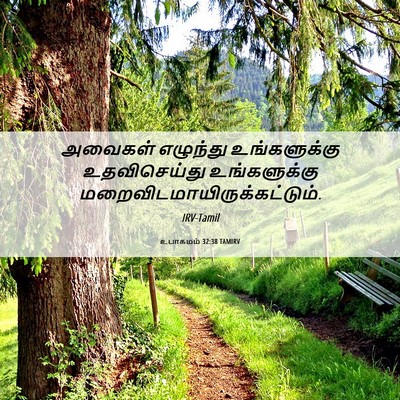 Picture 06 - உபாகமம் 32:38 TAMIRV - அவைகள் எழுந்து - Bible Verse Picture