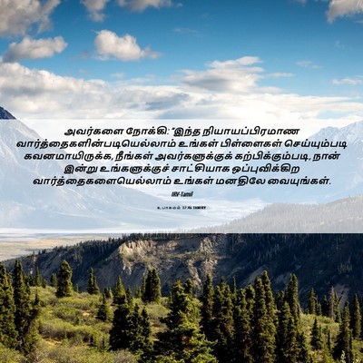 Picture 06 - உபாகமம் 32:46 TAMIRV - அவர்களை நோக்கி: - Bible Verse Picture