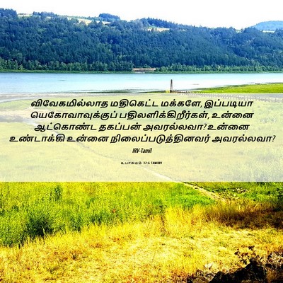 Picture 06 - உபாகமம் 32:6 TAMIRV - விவேகமில்லாத - Bible Verse Picture