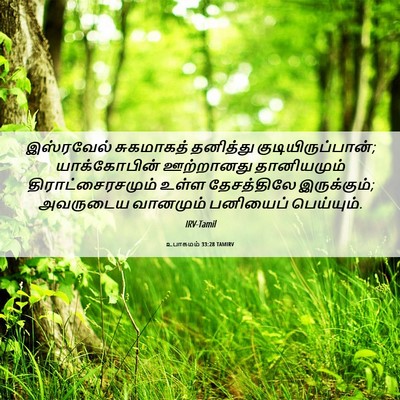Picture 06 - உபாகமம் 33:28 TAMIRV - இஸ்ரவேல் சுகமாகத் - Bible Verse Picture