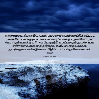 Picture 06 - உபாகமம் 33:29 TAMIRV - இஸ்ரவேலே, நீ - Bible Verse Picture