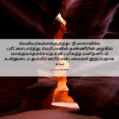 Picture 06 - உபாகமம் 33:8 TAMIRV -  - Bible Verse Picture