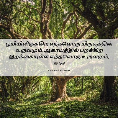Picture 06 - உபாகமம் 4:17 TAMIRV - பூமியிலிருக்கிற - Bible Verse Picture