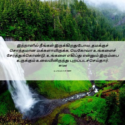 Picture 06 - உபாகமம் 4:20 TAMIRV - இந்நாளில் நீங்கள் - Bible Verse Picture
