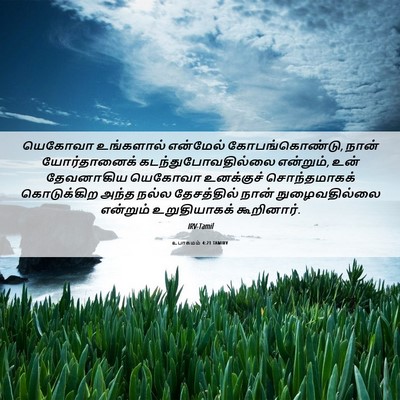Picture 06 - உபாகமம் 4:21 TAMIRV - யெகோவா உங்களால் - Bible Verse Picture