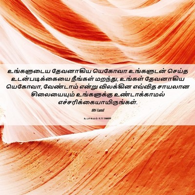 Picture 06 - உபாகமம் 4:23 TAMIRV - உங்களுடைய - Bible Verse Picture