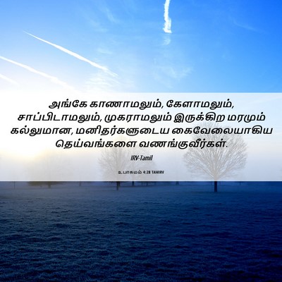 Picture 06 - உபாகமம் 4:28 TAMIRV - அங்கே காணாமலும், - Bible Verse Picture