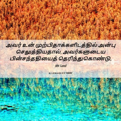 Picture 06 - உபாகமம் 4:37 TAMIRV - அவர் உன் - Bible Verse Picture
