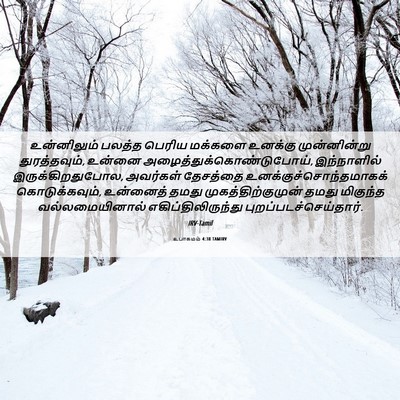 Picture 06 - உபாகமம் 4:38 TAMIRV - உன்னிலும் பலத்த - Bible Verse Picture