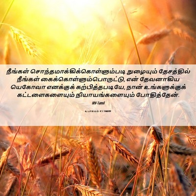 Picture 06 - உபாகமம் 4:5 TAMIRV - நீங்கள் - Bible Verse Picture
