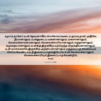 Picture 06 - உபாகமம் 5:14 TAMIRV - ஏழாம் நாளோ உன் - Bible Verse Picture