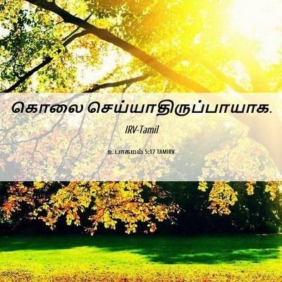 Picture 06 - உபாகமம் 5:17 TAMIRV - கொலை - Bible Verse Picture