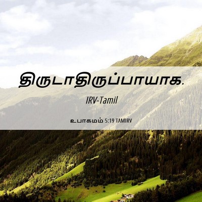 Picture 06 - உபாகமம் 5:19 TAMIRV -  - Bible Verse Picture