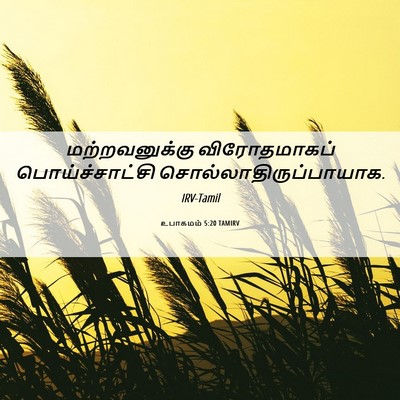 Picture 06 - உபாகமம் 5:20 TAMIRV - மற்றவனுக்கு - Bible Verse Picture