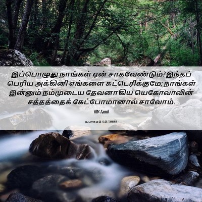 Picture 06 - உபாகமம் 5:25 TAMIRV - இப்பொழுது நாங்கள் - Bible Verse Picture