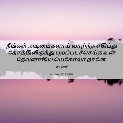 Picture 06 - உபாகமம் 5:6 TAMIRV - நீங்கள் - Bible Verse Picture