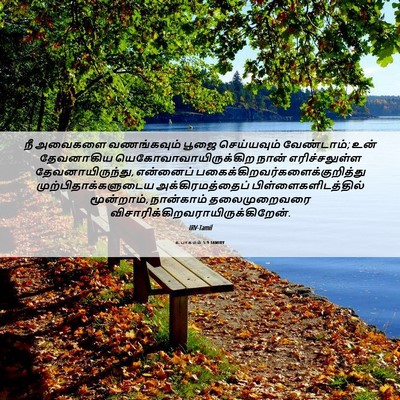 Picture 06 - உபாகமம் 5:9 TAMIRV - நீ அவைகளை - Bible Verse Picture