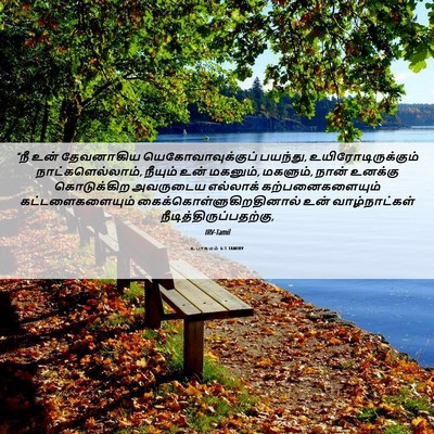 Picture 06 - உபாகமம் 6:1 TAMIRV - “நீ உன் தேவனாகிய - Bible Verse Picture